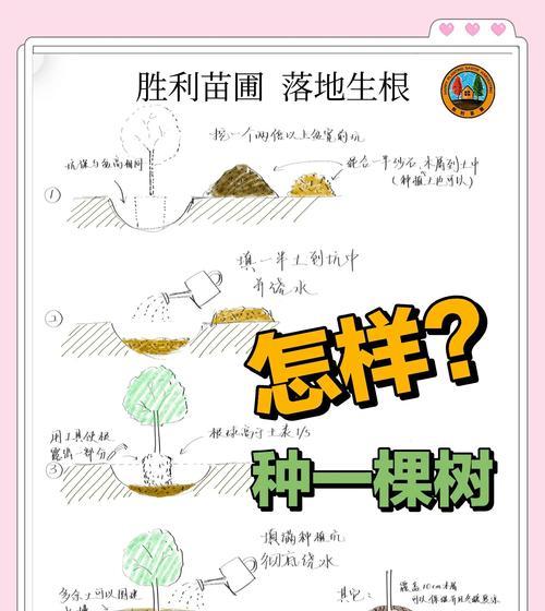 部落冲突中种出大树的条件是什么？如何满足这些条件？