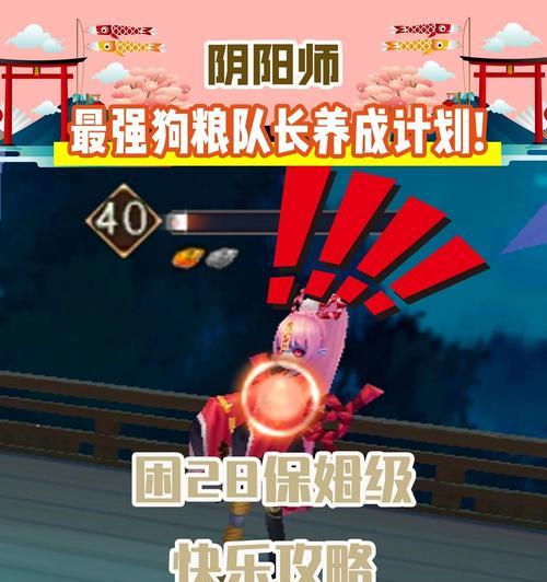 阴阳师狗粮使用最佳策略是什么？