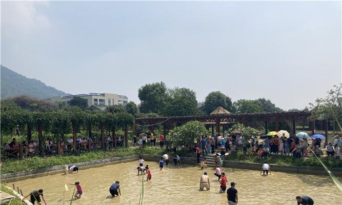 《以灵猫传捕鱼大赛攻略》（掌握技巧）