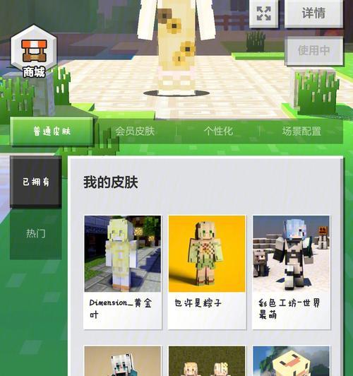 我的世界装扮使用方法是什么？使用过程中有哪些常见问题？