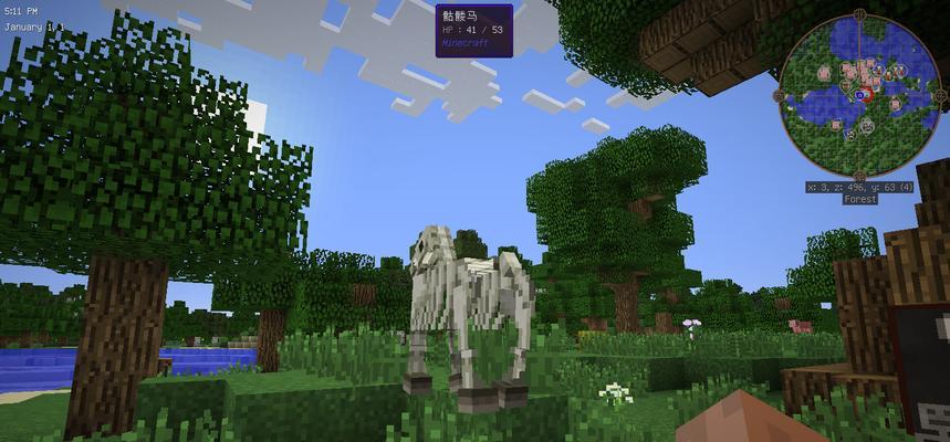在Minecraft中获取枯骨的方法是什么？需要哪些条件？