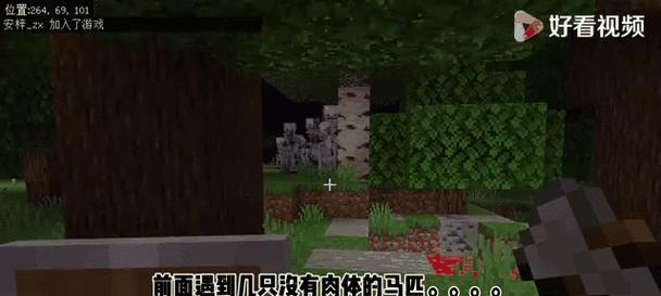 我的世界多玩联机方法是什么？联机时遇到问题怎么办？