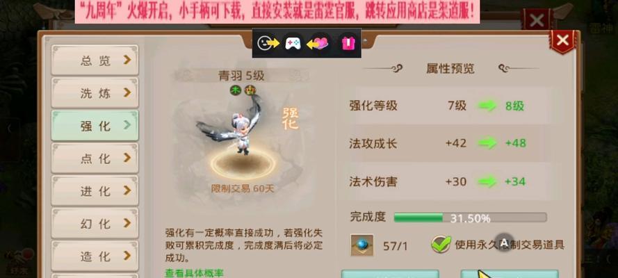 问道宠物搭配美观的建议有哪些？