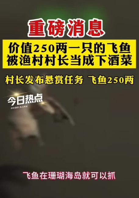 大话西游2中飞鱼捕捉技巧及注意事项是什么？