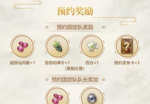 问道中10队号的操作流程是什么？