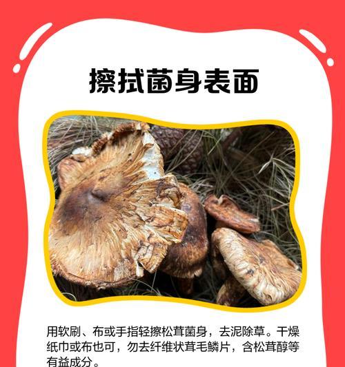 《小森生活松茸刷取攻略》（在游戏中轻松获取丰富道具）