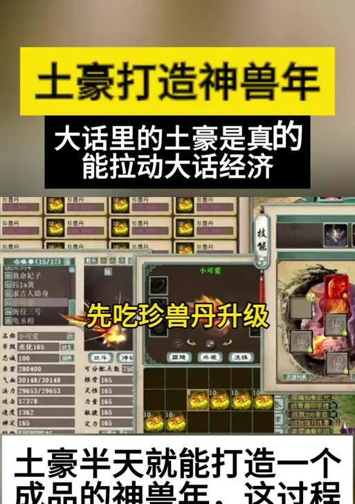 卧龙丹在大话西游2中的使用方法是什么？如何高效利用？