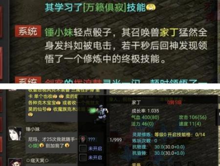 大话西游隐身技能破解方法及常见问题？