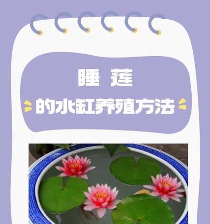 我的世界中睡莲的种植方法？