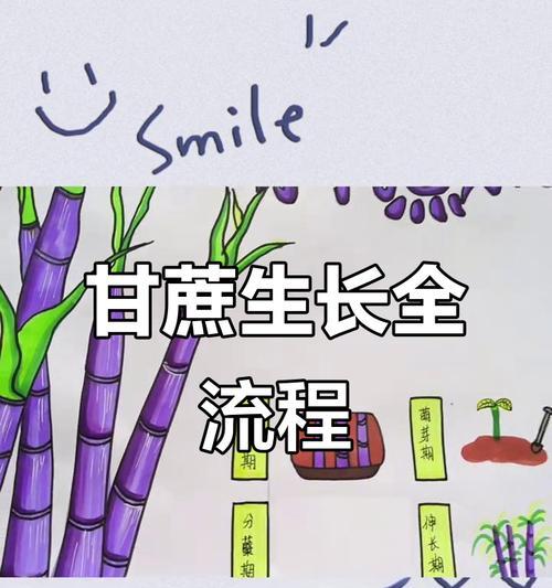 我的世界甘蔗种子怎么得到？种植与收获技巧是什么？