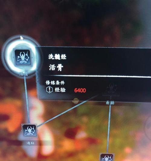 《以河洛群侠传洗髓经》攻略（解锁传世武功秘籍）